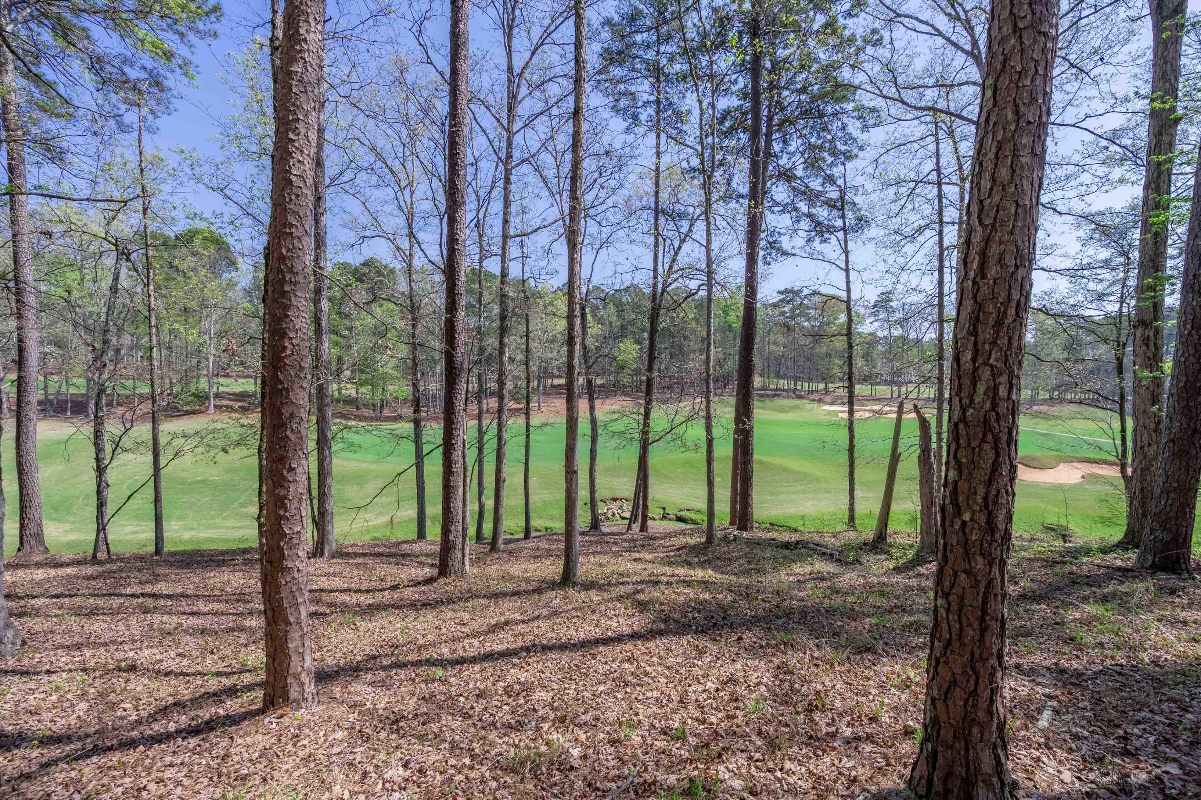 1190 Callahan's Ridge Road image 12